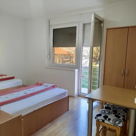Ruza - Grand 1 Appartement Sokobanja